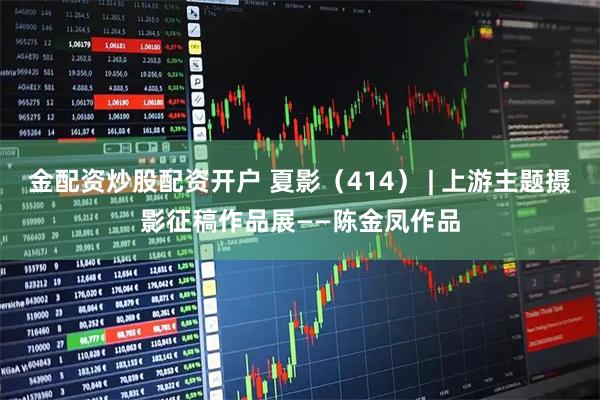 金配资炒股配资开户 夏影(414) | 上游主题摄影征稿作品展——陈金凤作品