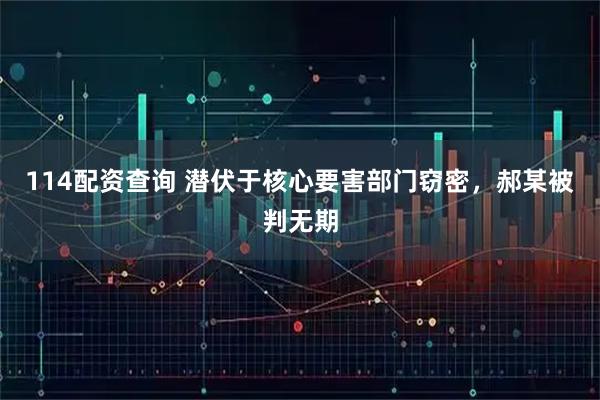 114配资查询 潜伏于核心要害部门窃密,郝某被判无期