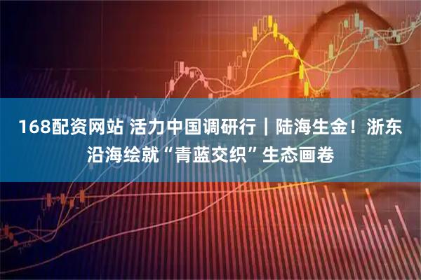 168配资网站 活力中国调研行|陆海生金!浙东沿海绘就“青蓝交织”生态画卷