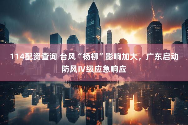 114配资查询 台风“杨柳”影响加大,广东启动防风Ⅳ级应急响应