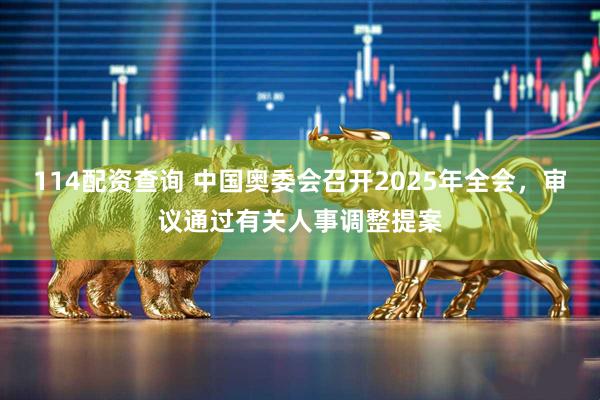 114配资查询 中国奥委会召开2025年全会，审议通过有关人事调整提案